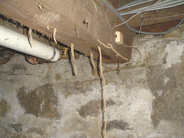 Termite Bites Termite Ceiling Tubes